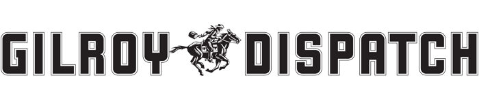 Gilroy Dispatch SocialBoosting Review