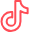 TikTok Logo